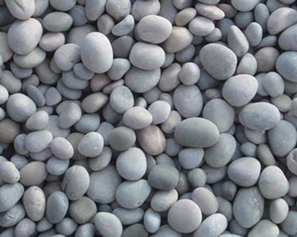 Biological aerated filter