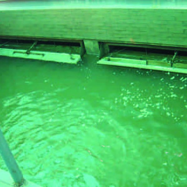 Wugang Haohui Water Supply Plant