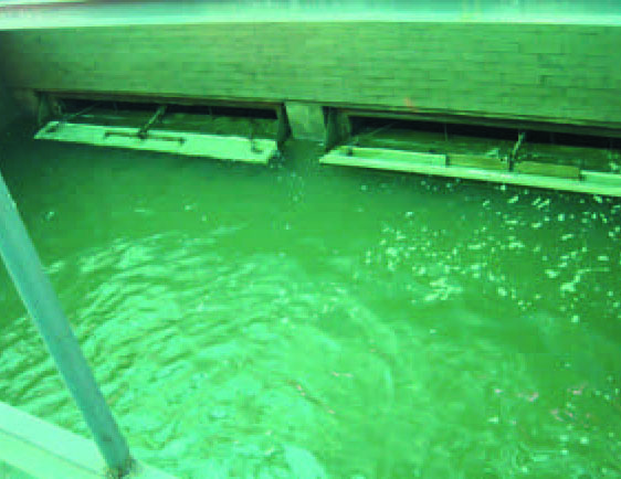 Washing method of filter cloth filter