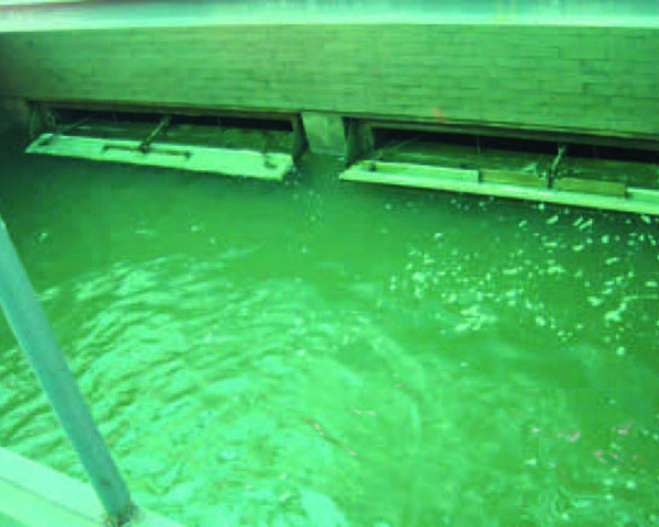 Washing method of filter cloth filter